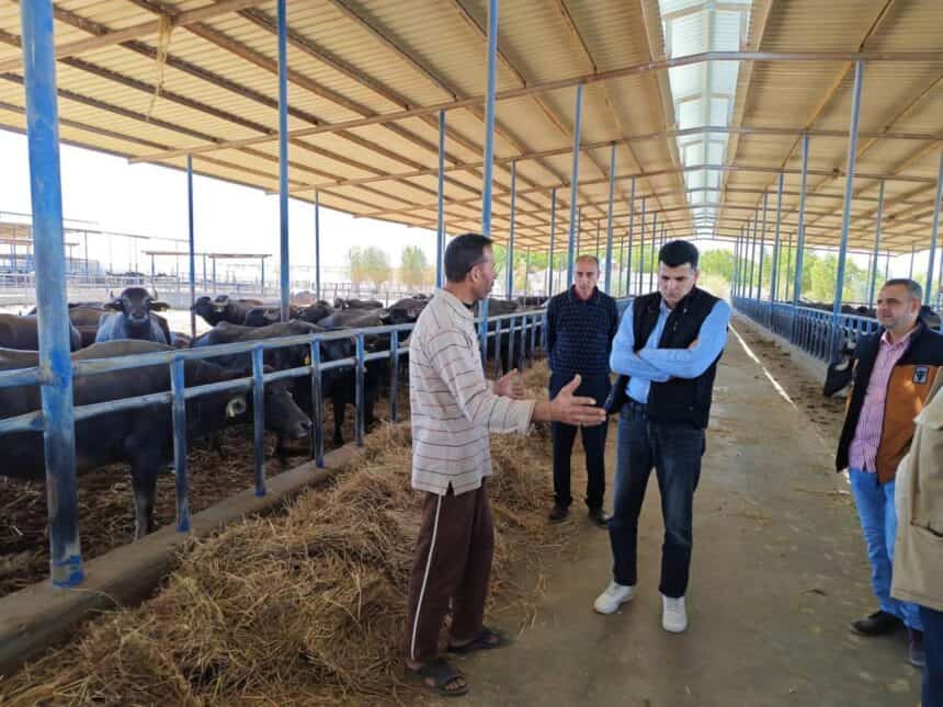 الحكومة تبحث التوسع في إنشاء محطات حديثة للثروة الحيوانية 1 الحكومة تبحث التوسع في إنشاء محطات حديثة للثروة الحيوانية