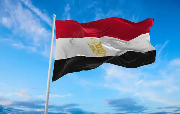 خبير دستوري يوضح شروط الترشح لرئاسة الجمهورية 1 خبير دستوري يوضح شروط الترشح لرئاسة الجمهورية