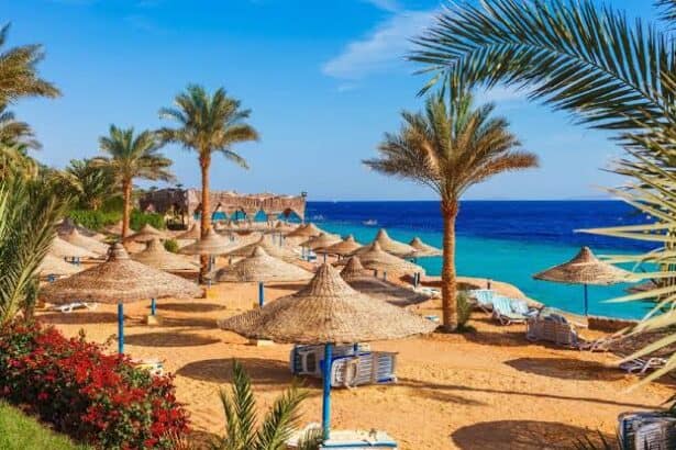 خطة التنمية 2026/2027: تحويل المواقع السياحية والأثرية إلى وجهات صديقة لذوي الهمم