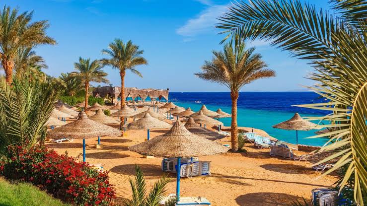 خطة التنمية 2026/2027: تحويل المواقع السياحية والأثرية إلى وجهات صديقة لذوي الهمم 1 خطة التنمية 2026/2027: تحويل المواقع السياحية والأثرية إلى وجهات صديقة لذوي الهمم