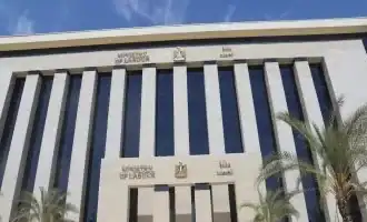 شباب يتقدمون لوظائف أعلنت عنها وزارة العمل في قطاع الأغذية بالقاهرة
