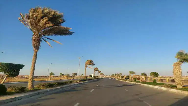 بشرى سارة للمواطنين.. الأرصاد تكشف موعد انكسار الموجة الحارة وحالة الطقس في إجازة المولد النبوي 1 بشرى سارة للمواطنين.. الأرصاد تكشف موعد انكسار الموجة الحارة وحالة الطقس في إجازة المولد النبوي