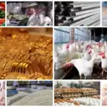 ارتفاع الدواجن والبيض والطماطم والزيت والجبن وانخفاض الحديد والأسمنت والذهب في أسواق اليوم