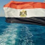 عضو مجلس الشيوخ: مصر شريك أساسي في معادلة الاستقرار الإقليمي