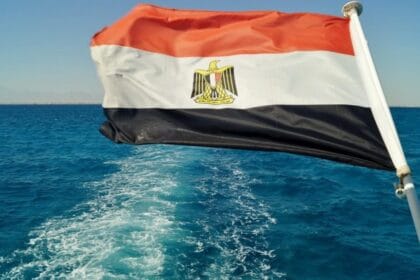 عضو مجلس الشيوخ: مصر شريك أساسي في معادلة الاستقرار الإقليمي