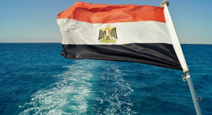 عضو مجلس الشيوخ: مصر شريك أساسي في معادلة الاستقرار الإقليمي