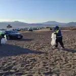 رفع 5 أطنان مخلفات بينها 33 ألف عقب سيجارة من شواطئ دهب