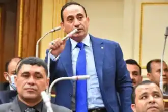 زين الدين: زيارة بن سلمان لمصر تجسد قوة التحالف المصري السعودي