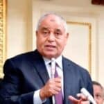 برلماني يرحب بتصريحات وزير التخطيط: صناعة السيارات قفزت 50%