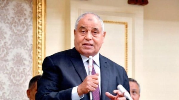 برلماني يرحب بتصريحات وزير التخطيط: صناعة السيارات قفزت 50%