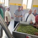 وزير الزراعة يطلق تشغيل معصرة زيتون النثيلة بشمال سيناء