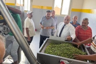 وزير الزراعة يطلق تشغيل معصرة زيتون النثيلة بشمال سيناء