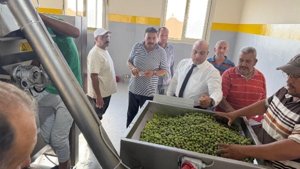 وزير الزراعة يطلق تشغيل معصرة زيتون النثيلة بشمال سيناء 1 وزير الزراعة يطلق تشغيل معصرة زيتون النثيلة بشمال سيناء